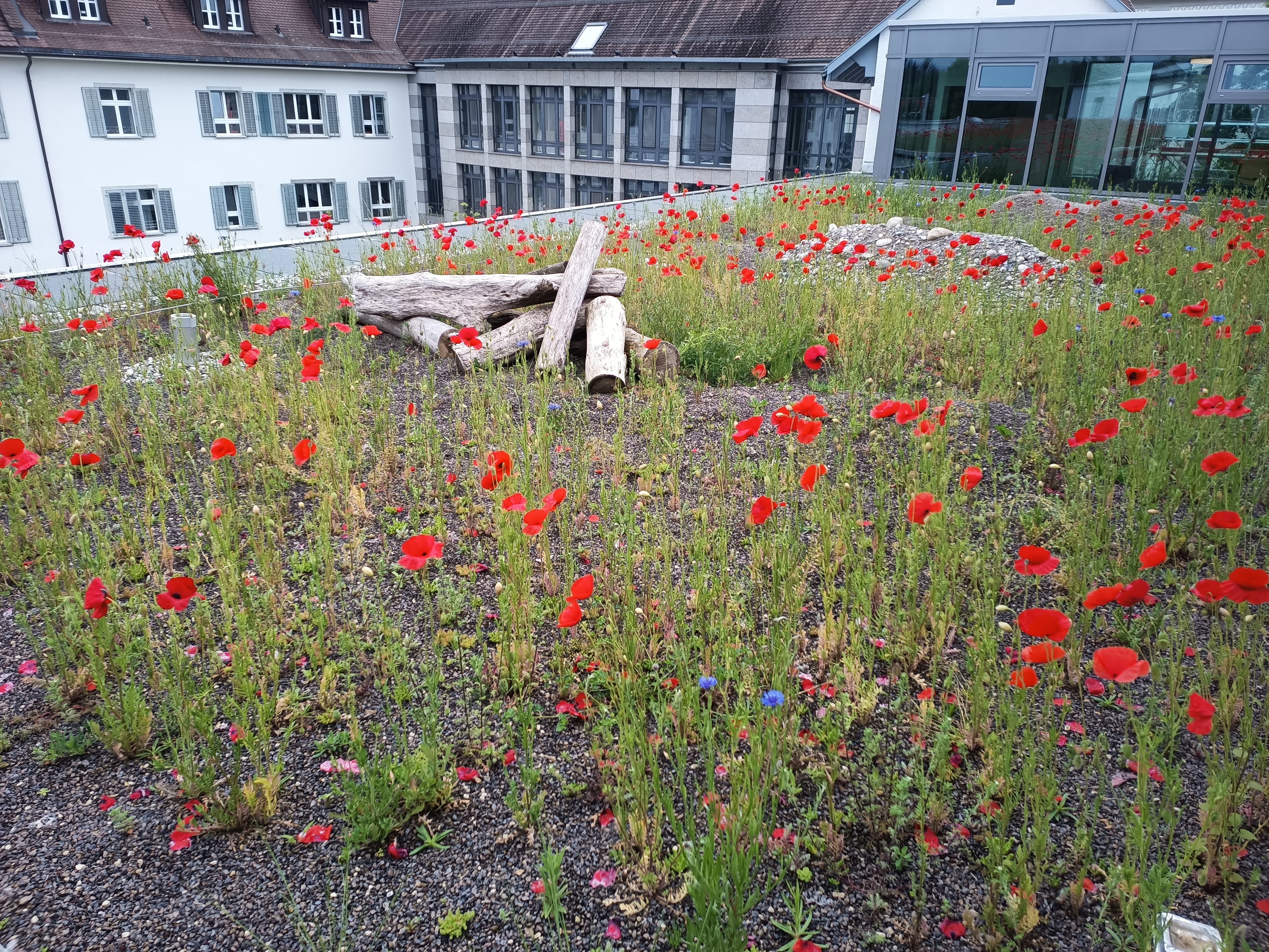 Spital & Pflegeheim, Leuggern