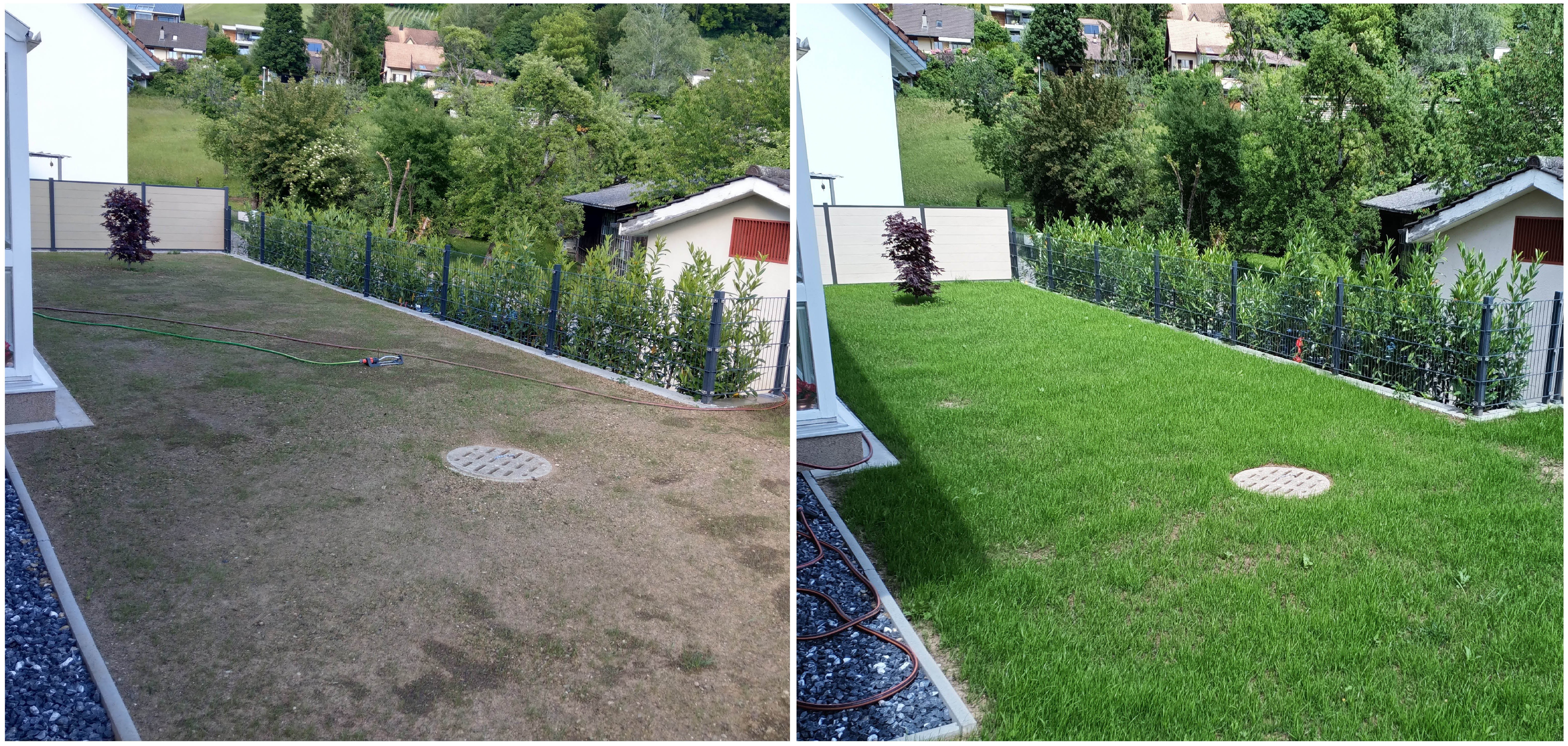 Gr&uuml;nfl&auml;chen & Bepflanzung